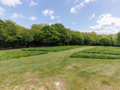 Picture 20